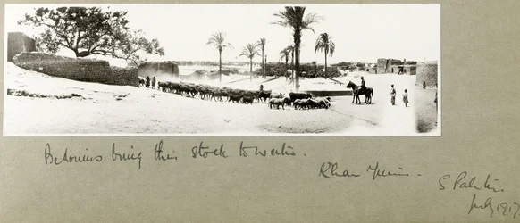 Bedoeïenen brengen hun vee naar water, Khan Yunis, Zuid-Palestina, juli 1917